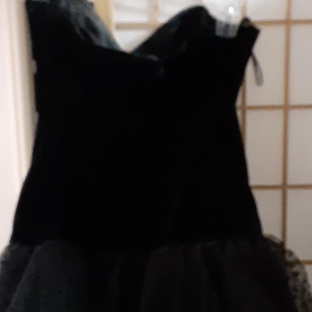 Dress - Picture 5 of 6